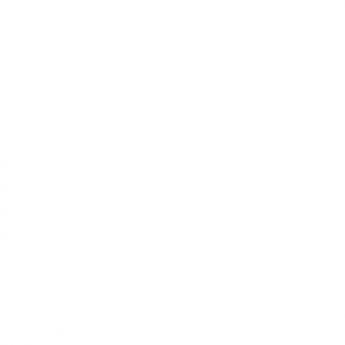 Тренировочные петли ROMANA 210.10.00 Тренировочные петли ROMANA 210.10.00